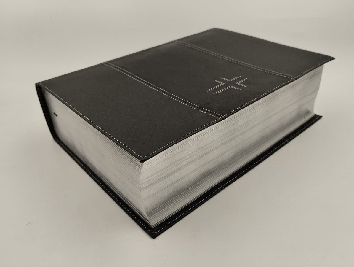 Biblia NTV de Estudio Diario Vivir Letra Grande NTV