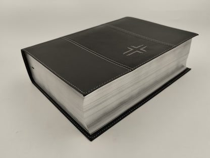 Biblia NTV de Estudio Diario Vivir Letra Grande NTV