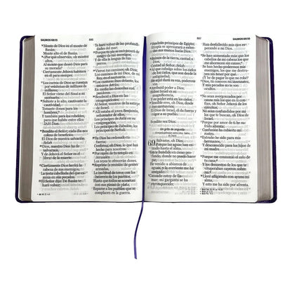 Biblia RVR60 súper gigante letra 19 puntos