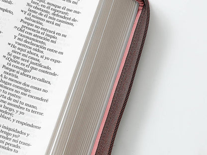 Biblia RVR60 tamaño manual letra Gigante Café