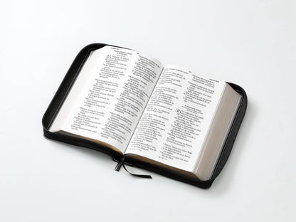 Biblia RVR60 tamaño manual letra Gigante