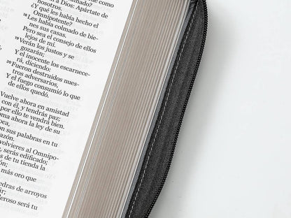 Biblia RVR60 tamaño manual letra Gigante