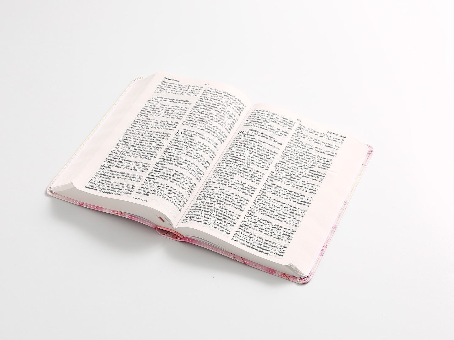 Biblia RVR60 Tamaño manual Letra Grande TAPA FLEX rosa