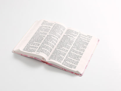 Biblia RVR60 Tamaño manual Letra Grande TAPA FLEX rosa