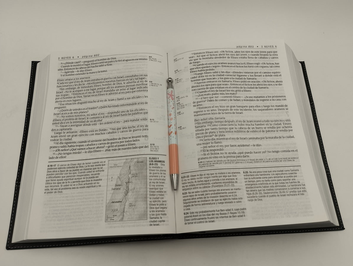 Biblia NTV de Estudio Diario Vivir Letra Grande NTV