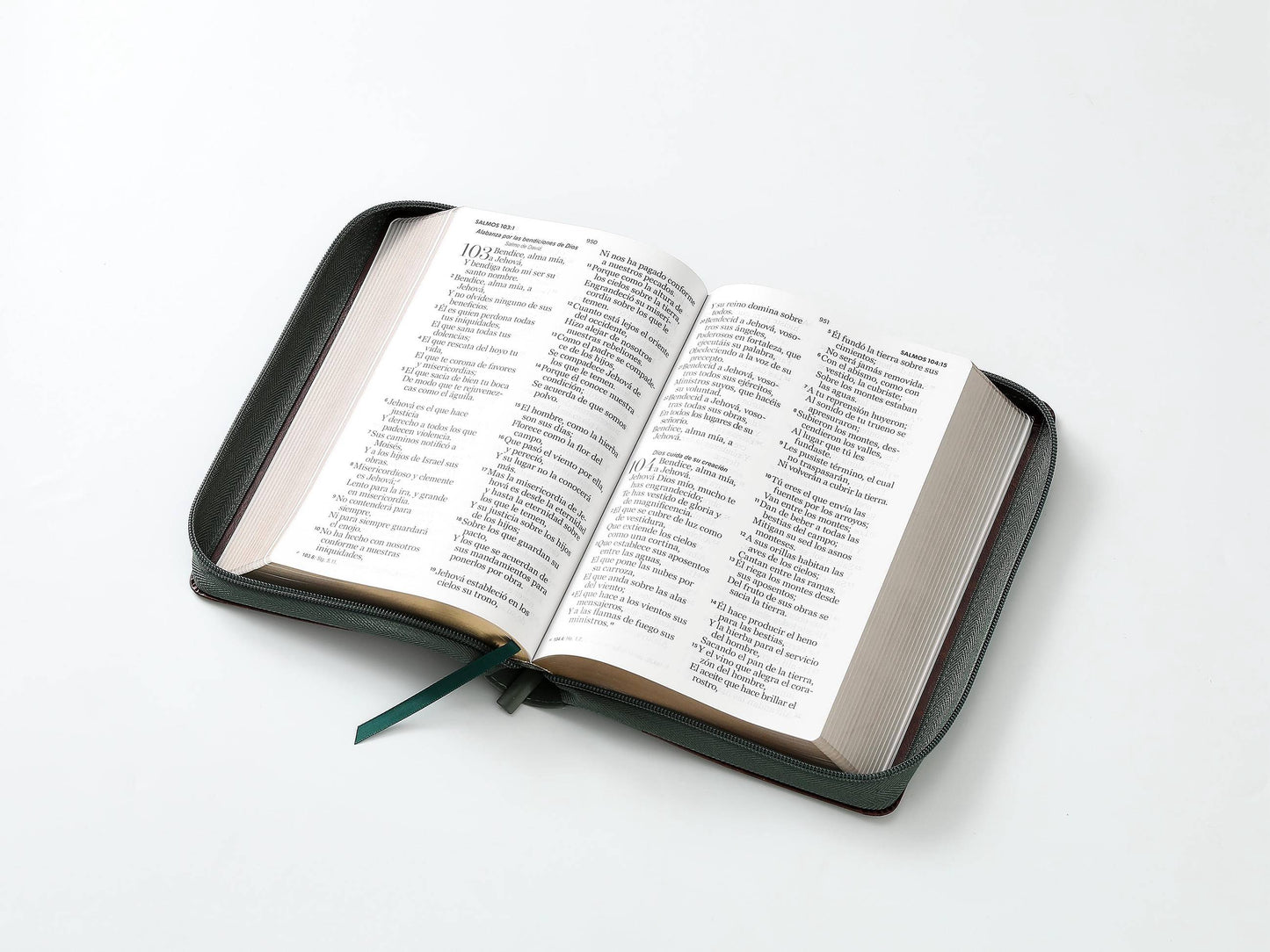 Biblia RVR60 tamaño manual letra Gigante Café