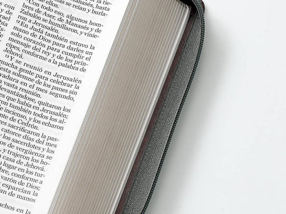 Biblia RVR60 tamaño manual letra Gigante Café