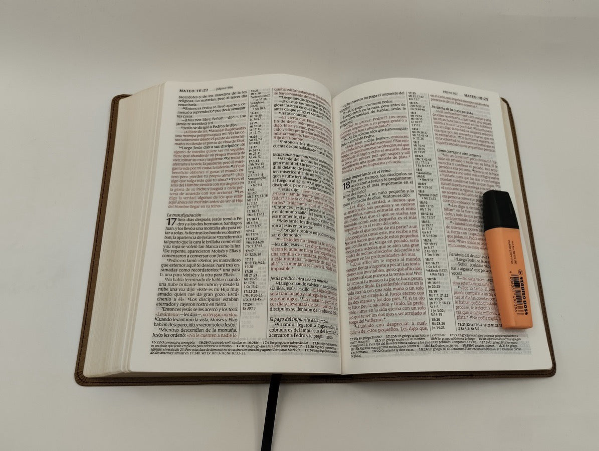Biblia NTV Letra Grande Ultrafina Marron Claro