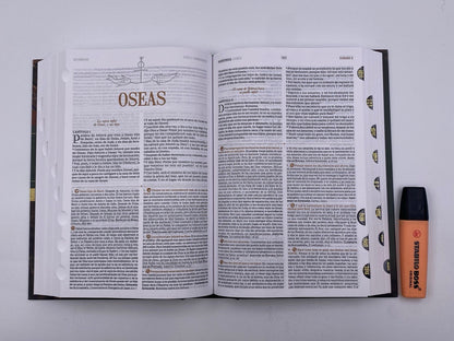 Biblia de estudio Patrística RVR77 tapa dura con índice