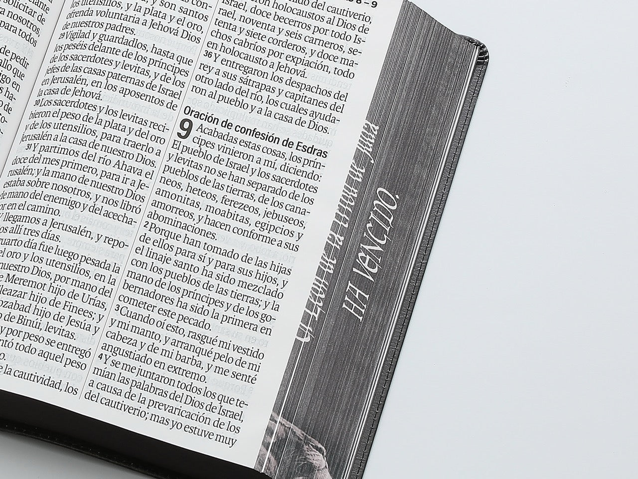 Biblia RVR60 Letra Súper Gigante piel León