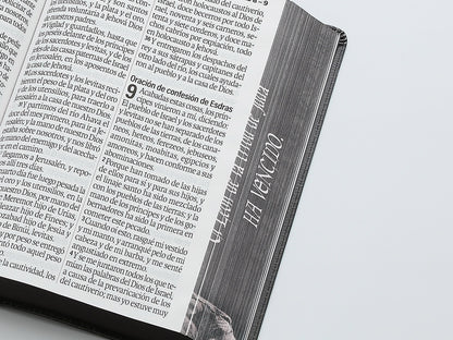 Biblia RVR60 Letra Súper Gigante piel León