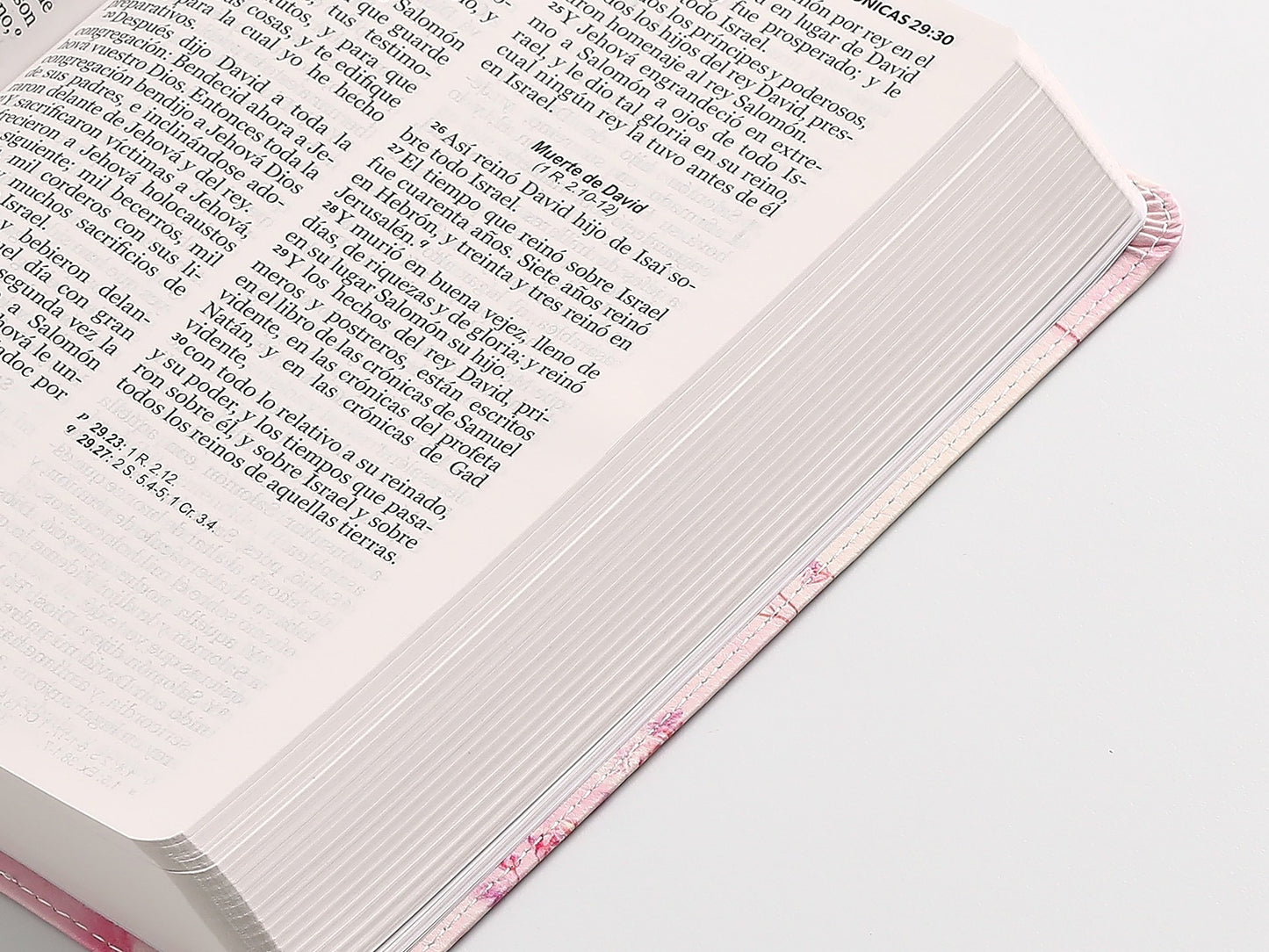 Biblia RVR60 Tamaño manual Letra Grande TAPA FLEX rosa