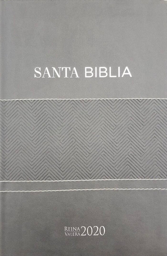 Biblia RVR2020 Tamaño Manual Letra Grande