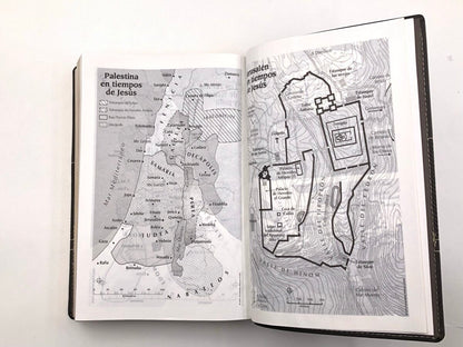 Biblia RVR2020 Tamaño Manual Letra Grande