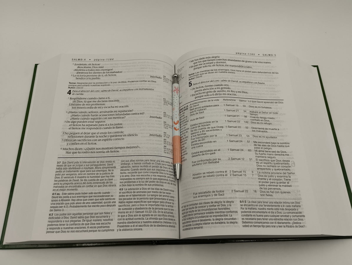 Biblia NTV de Estudio Diario Vivir Letra Grande Tapa Dura
