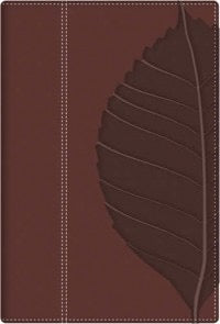 Biblia RVR 1960 de Estudio Wiersbe Vidas Transformadas indice