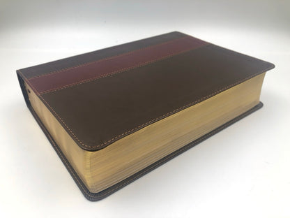 Biblia NTV de Estudio Diario Vivir Sentipiel Café