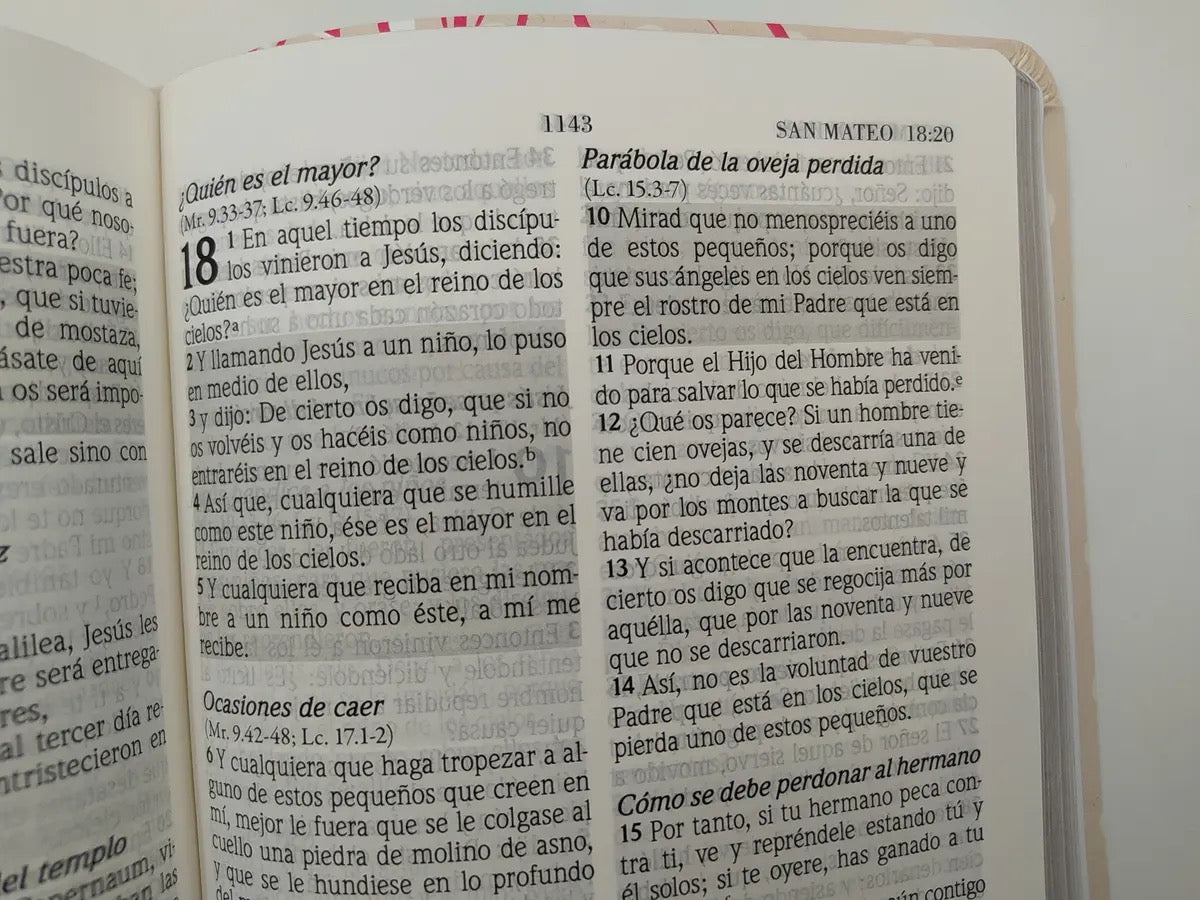 Biblia RVR 1960 de Promesas Letra Grande