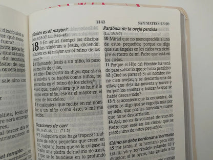 Biblia RVR 1960 de Promesas Letra Grande