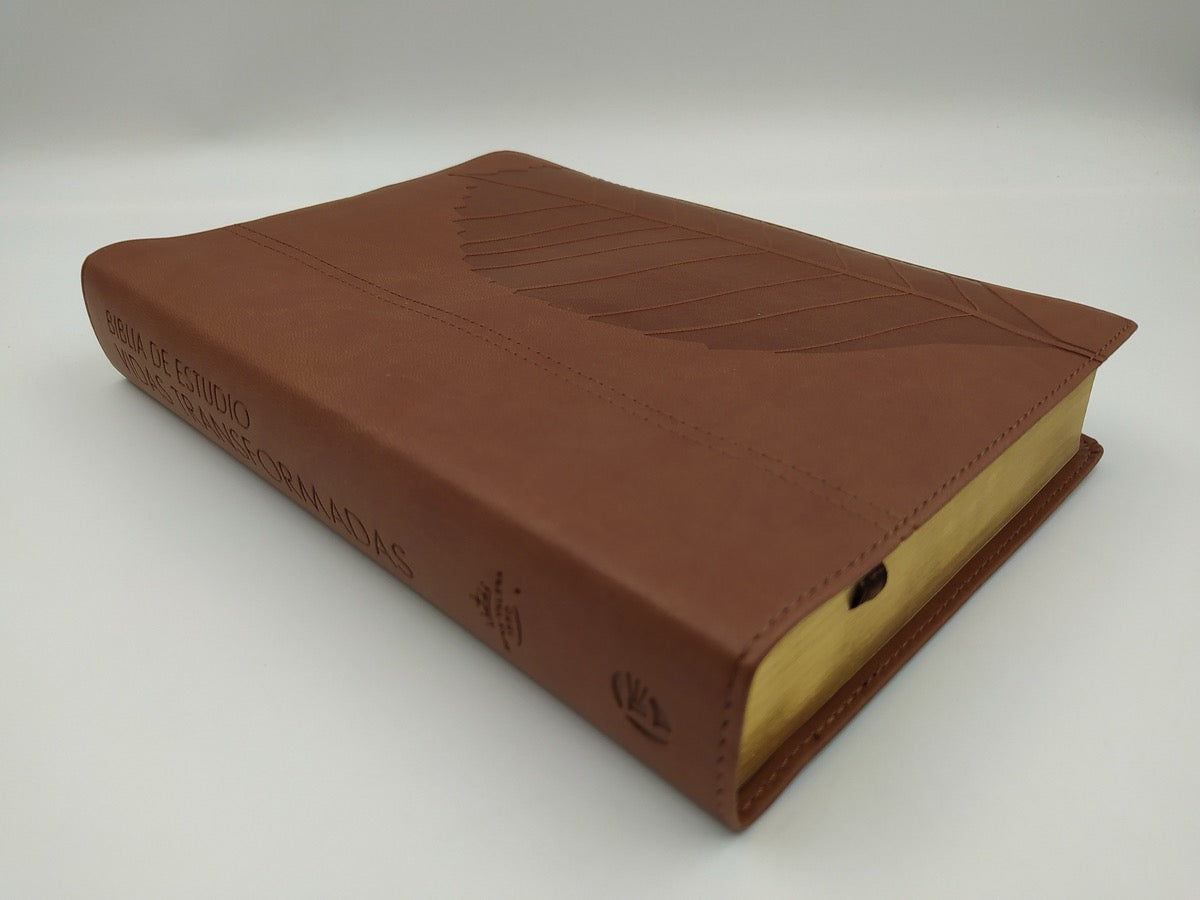 Biblia RVR 1960 de Estudio Wiersbe Vidas Transformadas indice
