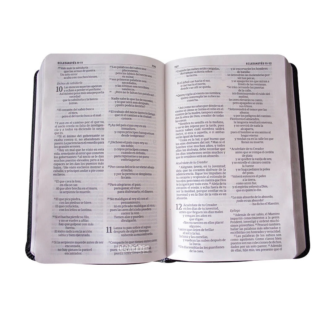 Biblia NVI Compacta Letra Grande Negro Piel Fabricada