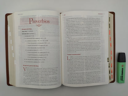 Biblia RVR 1960 de Estudio Wiersbe Vidas Transformadas indice
