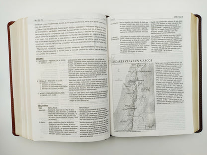Biblia RVR 1960 de Estudio Diario Vivir Letra Grande Café