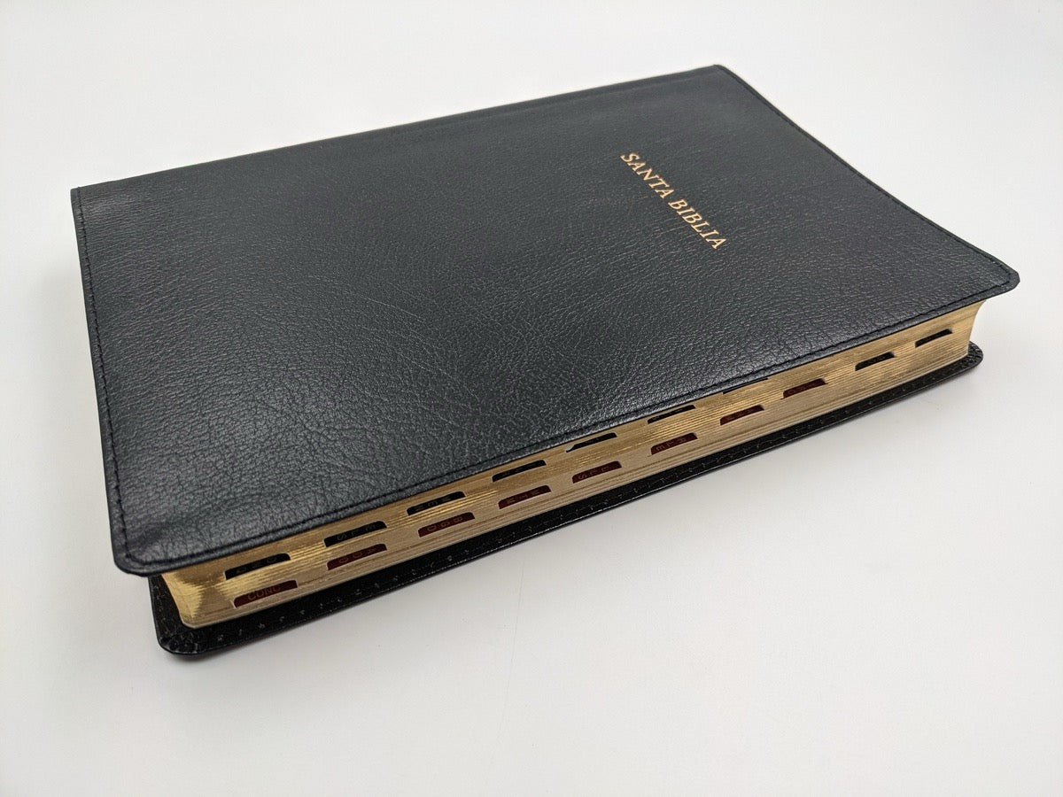 Biblia RVR 1960 de Estudio Scofield Negro semi piel indice