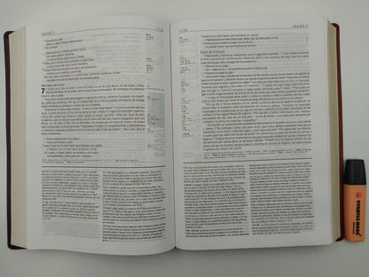 Biblia NTV de Estudio Diario Vivir Letra Grande Café