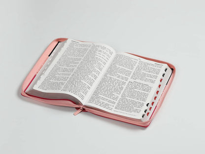 Biblia RVR60 Letra Gigante Tricolor Rosa