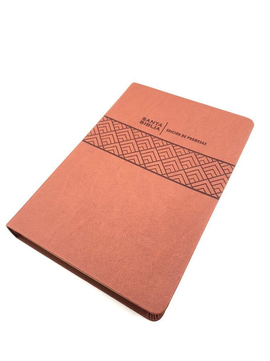 Biblia RVR 1960 de Promesas Letra Gigante