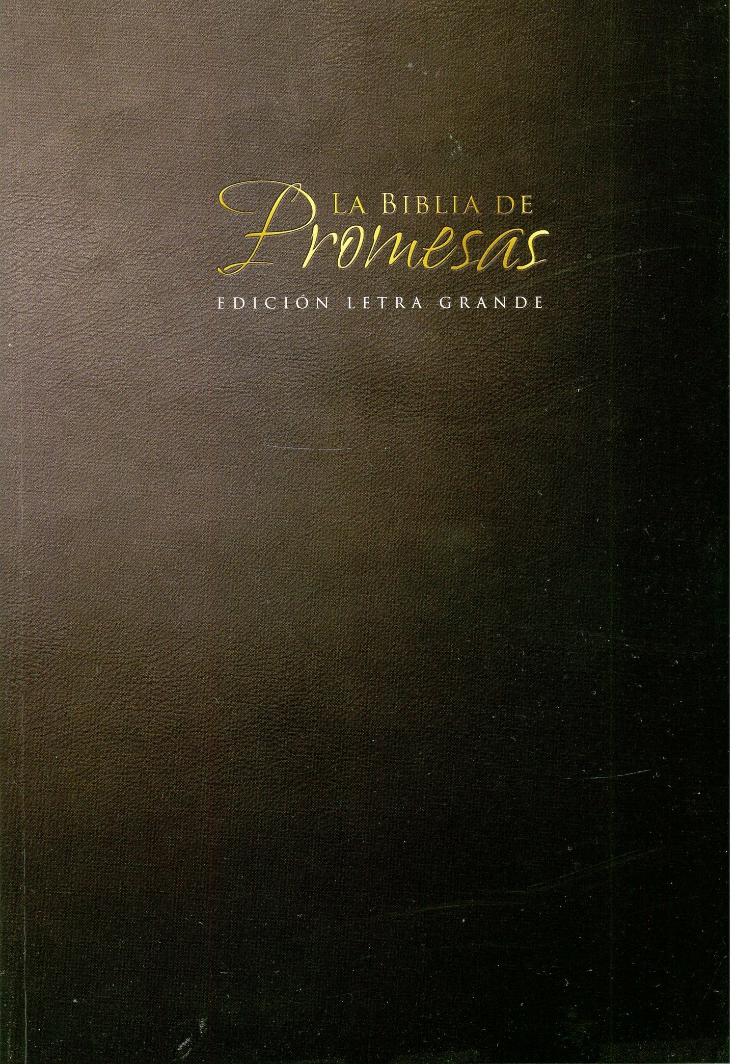 Biblia RVR 1960 de Promesas Letra Gigante Rústica Negro