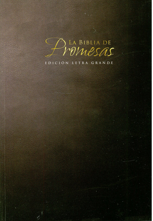 Biblia RVR 1960 de Promesas Letra Gigante Rústica Negro