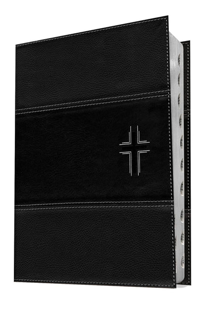 Biblia NTV de Estudio Diario Vivir Letra Grande indice piel