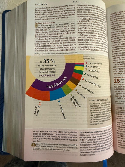 Biblia NTV de Estudio Diario Vivir Letra Grande gris tapa dura