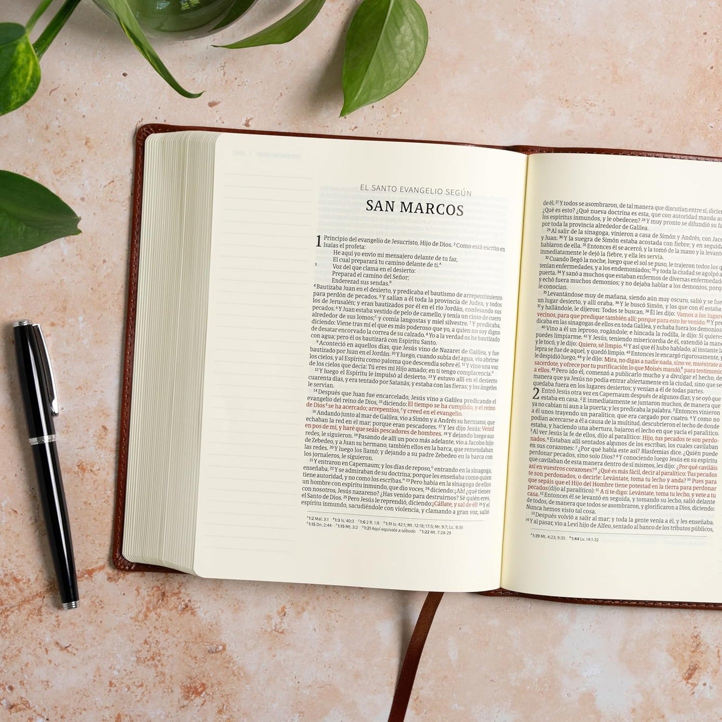 Biblia de Apuntes NVI marron