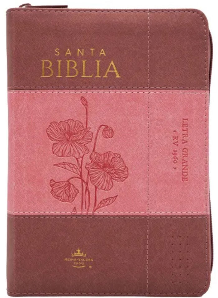 Biblia RVR60 Tamaño Compacto Letra Grande 12 puntos rosa