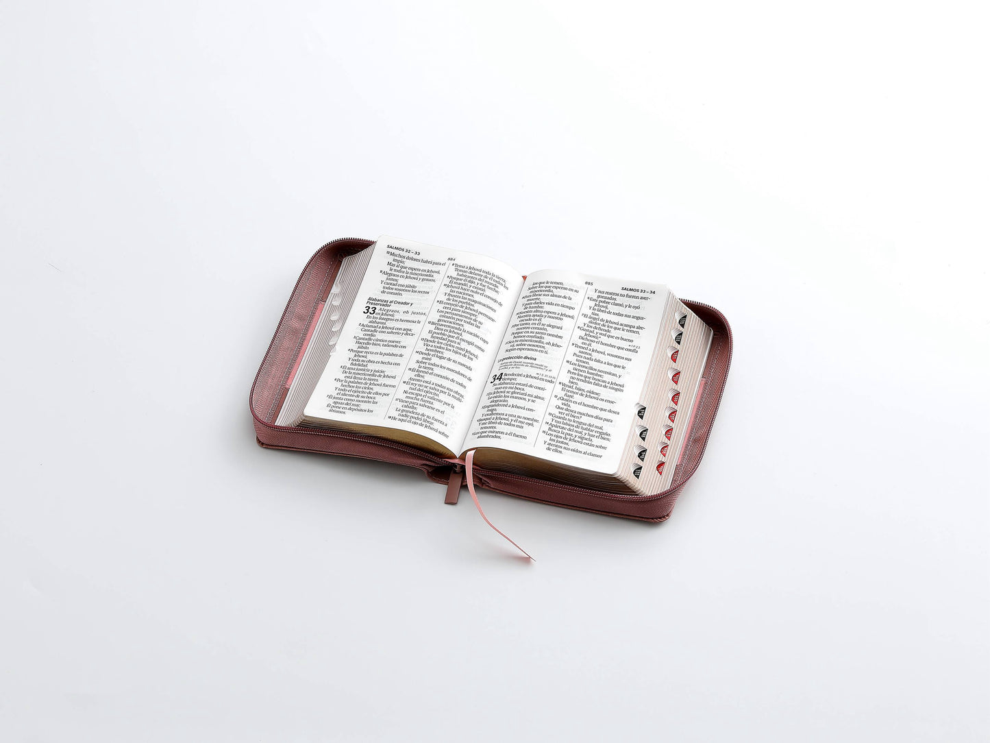 Biblia RVR60 Tamaño Compacto Letra Grande 12 puntos rosa