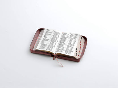 Biblia RVR60 Tamaño Compacto Letra Grande 12 puntos rosa