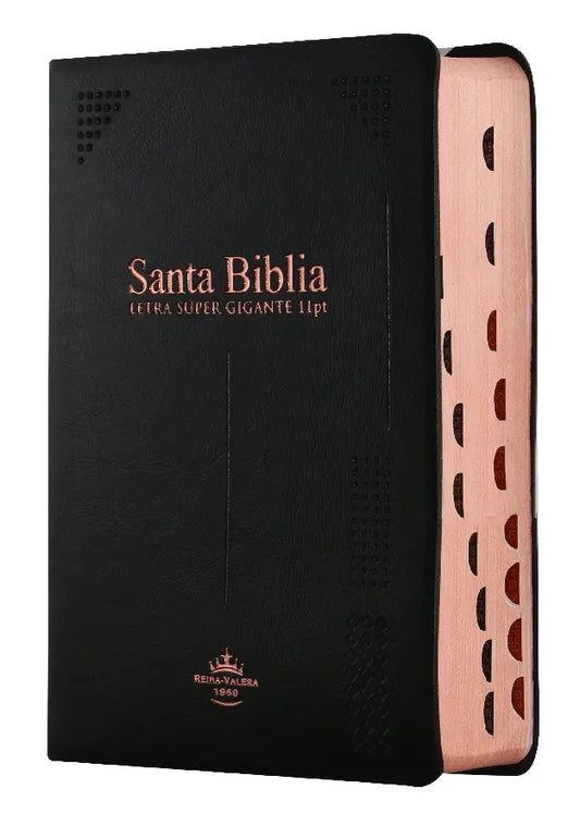 Biblia letra grande indice 1960
