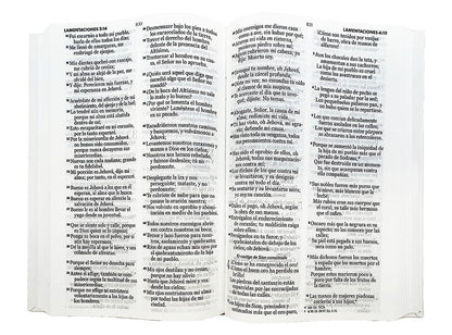 Biblia RVR 1960 Letra Grande espada con indice