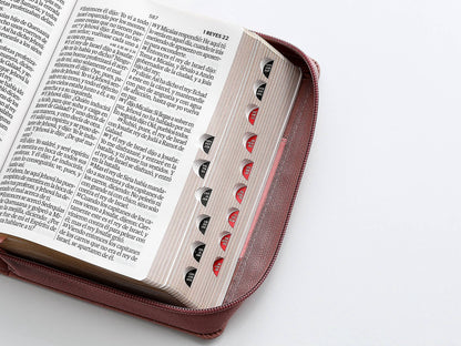 Biblia RVR60 Tamaño Compacto Letra Grande 12 puntos rosa