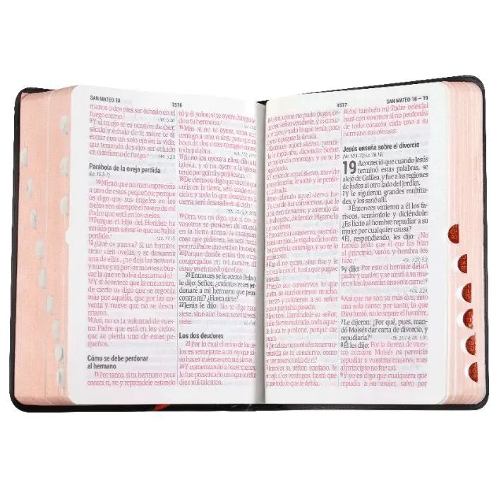 Biblia letra grande indice 1960