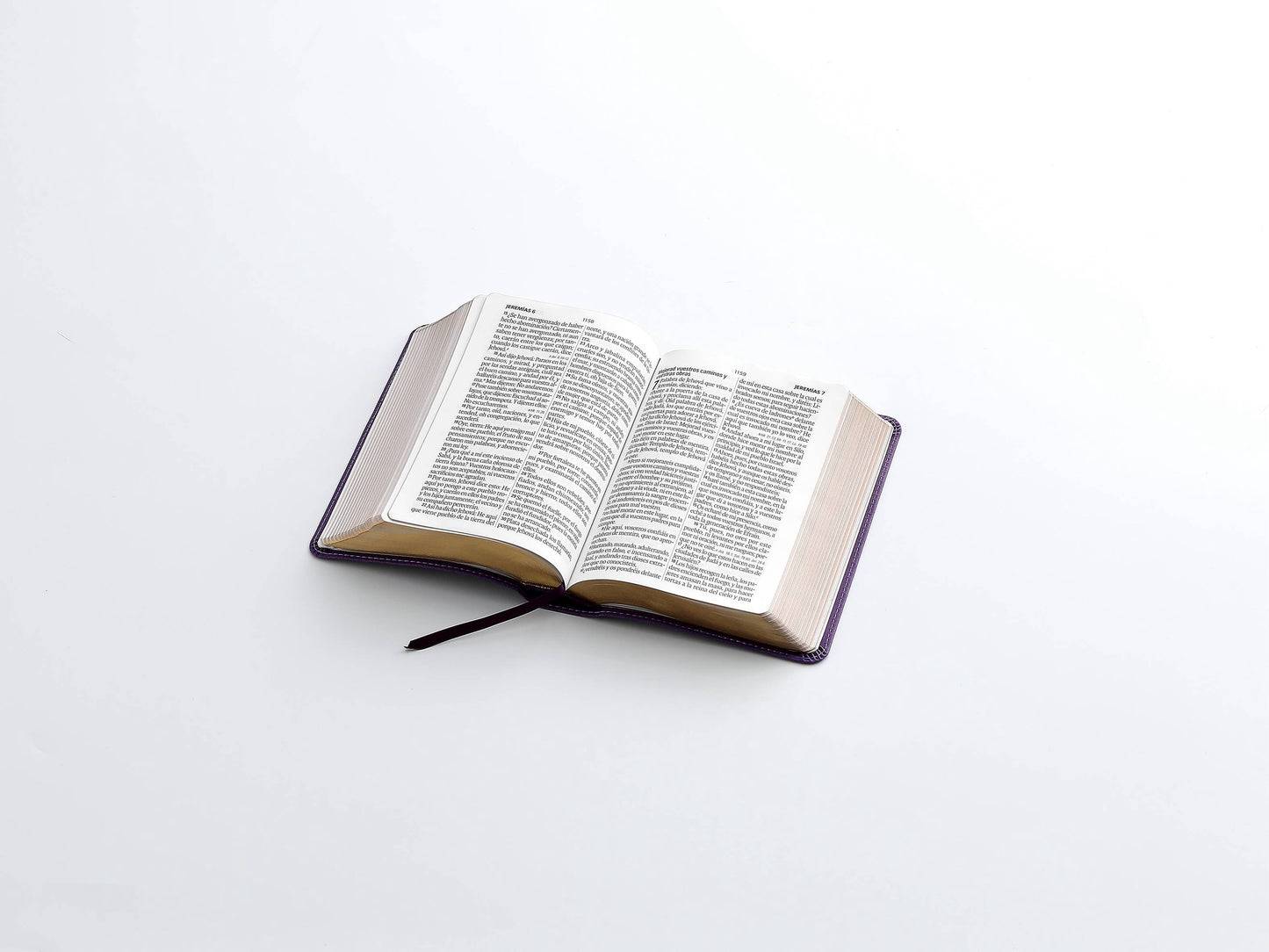 Biblia RVR60 Tamaño Compacto Letra Grande 12 puntos lila