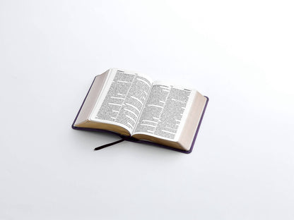 Biblia RVR60 Tamaño Compacto Letra Grande 12 puntos lila
