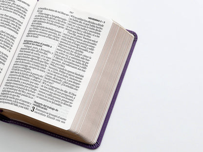 Biblia RVR60 Tamaño Compacto Letra Grande 12 puntos lila