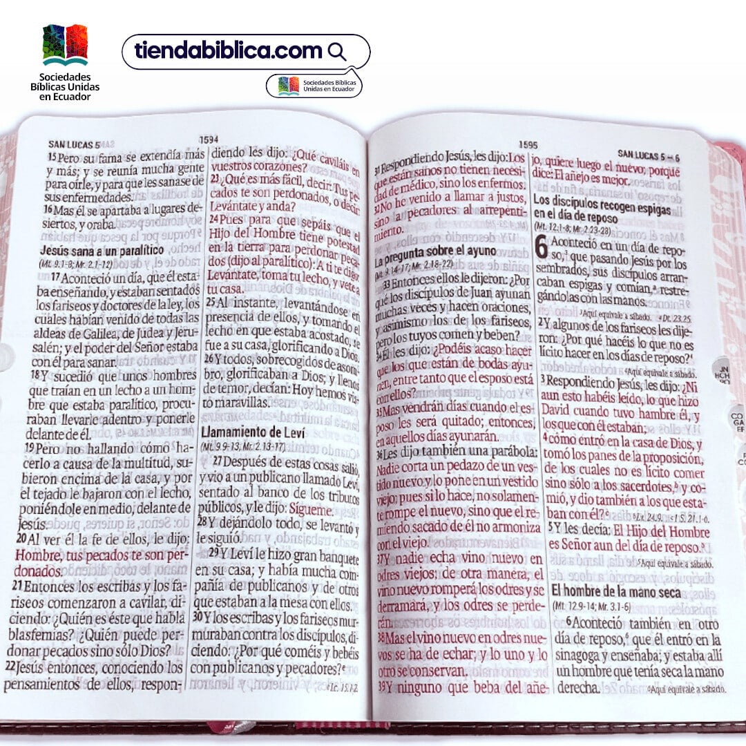 Biblia RVR 1960 Letra Gigante 14 Puntos