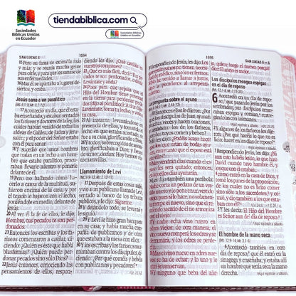 Biblia RVR 1960 Letra Gigante 14 Puntos