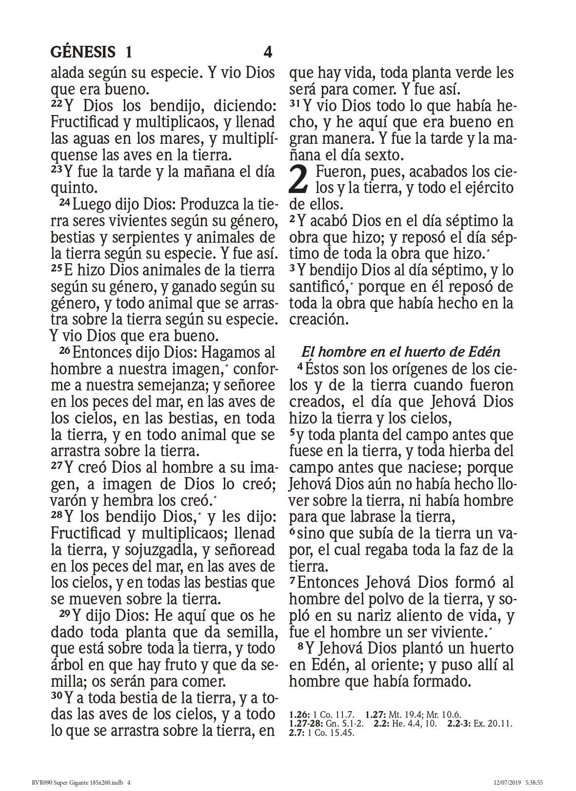 Biblia RVR 1960 Letra Súper Gigante Rosa Claro
