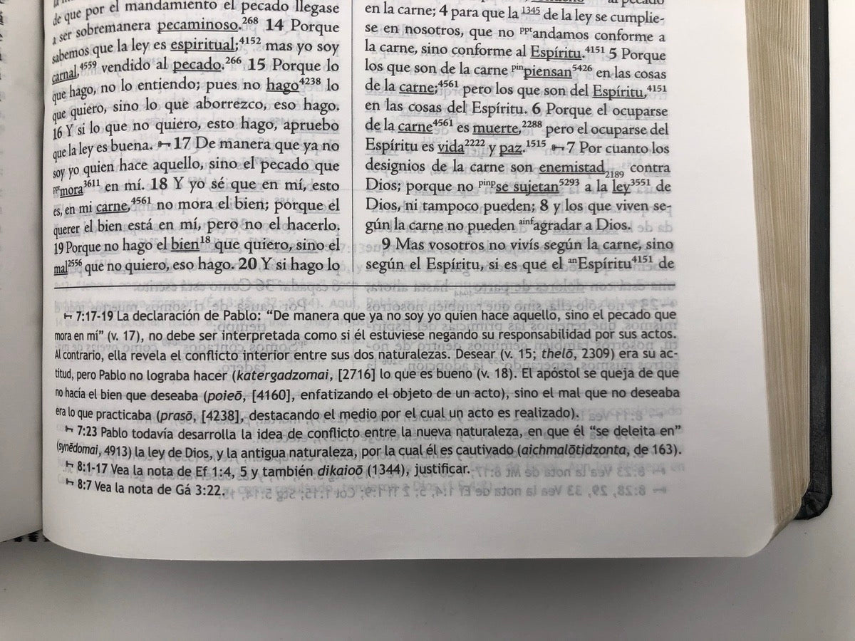 Biblia RVR 1960 de Estudio Palabra Clave Piel Negro